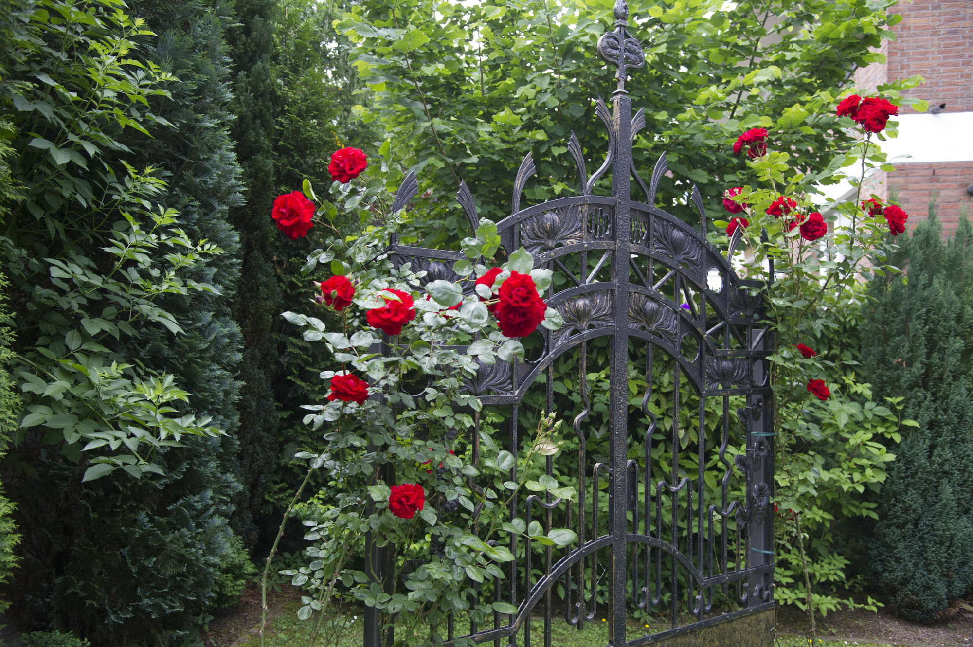 Boutiquehotel Dreesen - Villa Godesberg Bonn Exterior photo